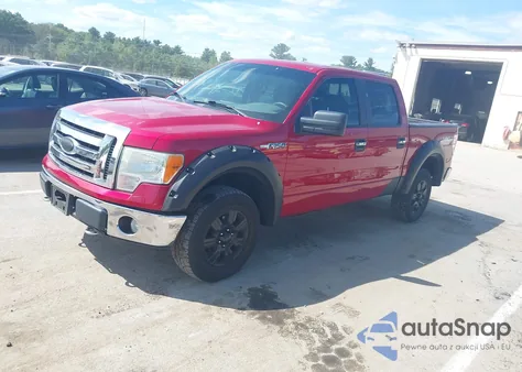 2009 Ford F-150 Fx4/King Ranch/Lariat/Platinum/Xl/Xlt z USA, uszkodzony, nr VIN 1FTPW14V59FB39284